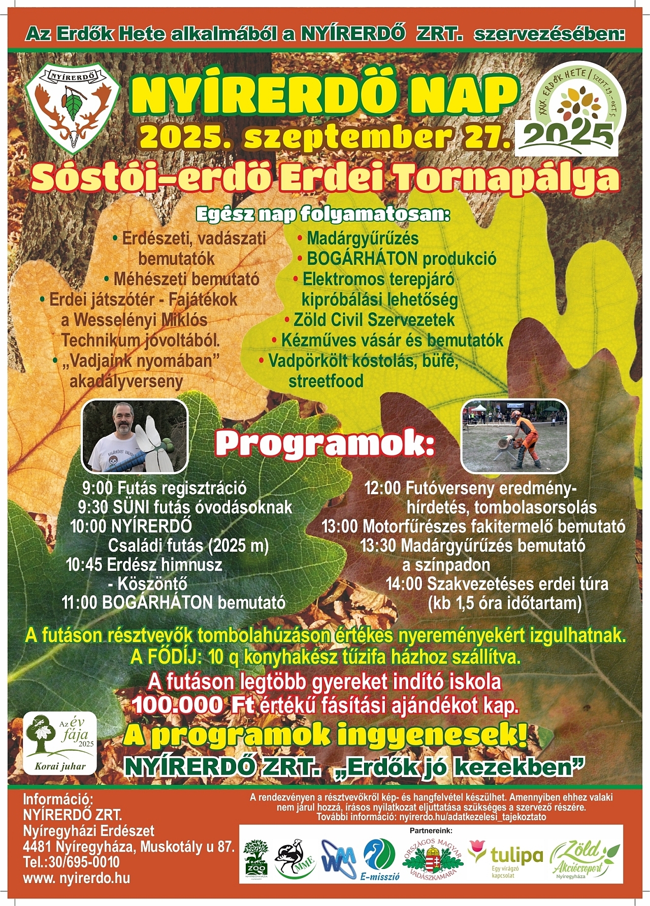 NYÍRERDŐ NAP 2025