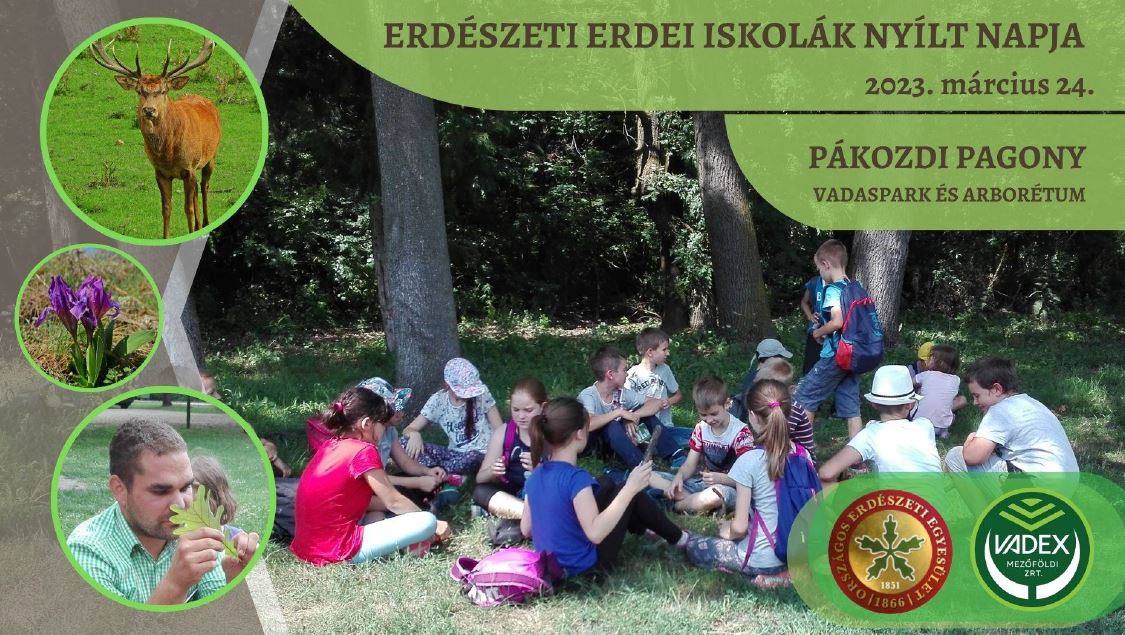 Erdészeti Erdei Iskolák nyílt napja - az Erdők Nemzetközi Napja eseménye 