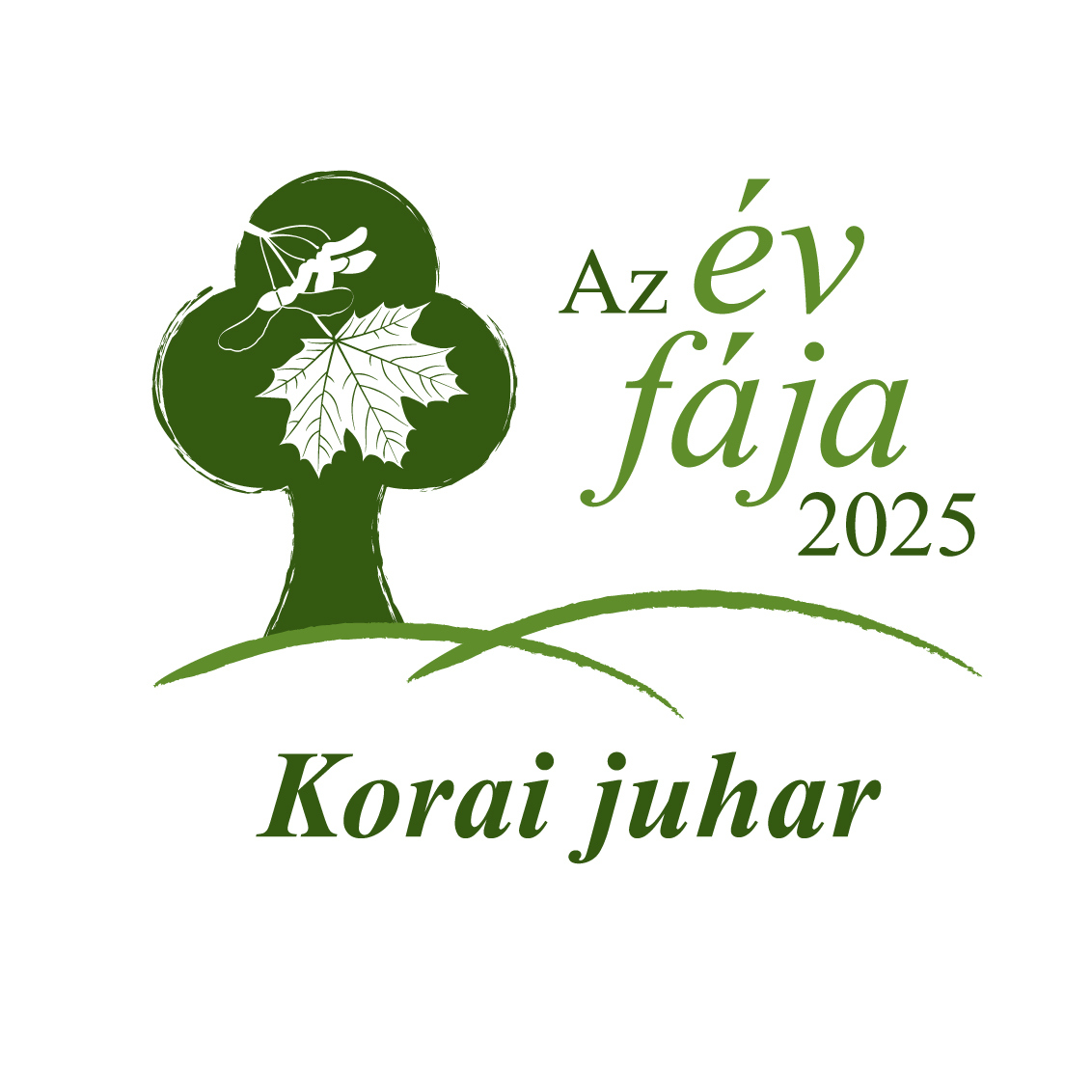 Az Év fája 2025