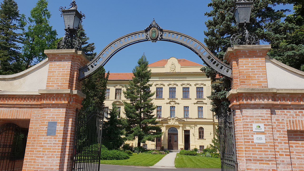 15 %-kal többen jelentkeztek idén a Soproni Egyetemre!