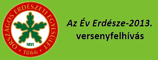 Év Erdésze Verseny 2013.