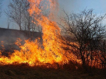 Tűzgyújtási tilalmat rendeltek el Heves megyében