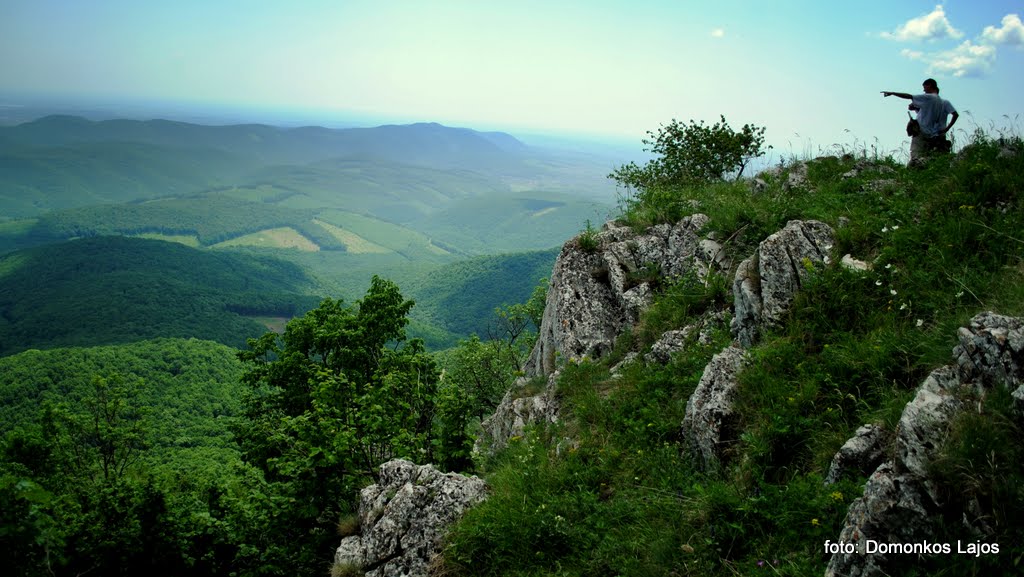 Természetvédelmi zóna besorolás egyeztetése folyik a Bükki Nemzeti Park területén