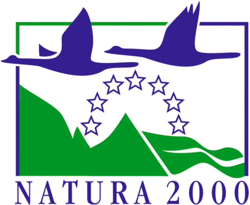 Megjelent a Natura 2000 erdőterületeknek nyújtott kompenzációs kifizetések megvalósítását támogató f