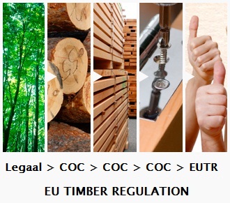 Felelősen kell végezni a fakitermelést és a forgalmazást!