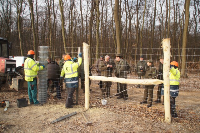 Vadkárelhárító kerítésépítési bemutató a Farkas-erdőn