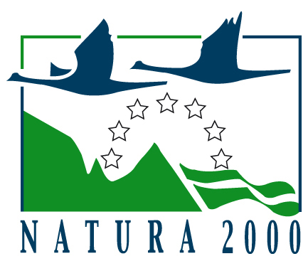 Megjelent a Natura 2000 erdőterületeknek nyújtott kompenzációs kifizetések című felhívás