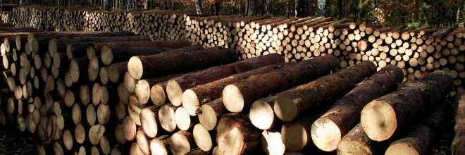 Tájékoztatás az erdei faanyag jogszerű kitermelése, szállítása, és felhasználása érdekében