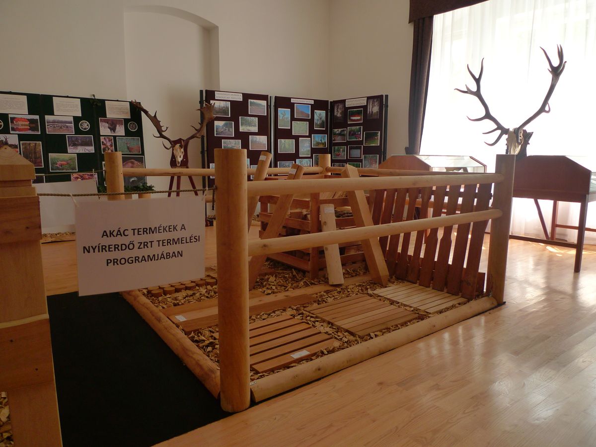 Erdészeti és Vadászati időszaki kiállítás a baktalórántházi Dégenfeld Kastélymúzeumban