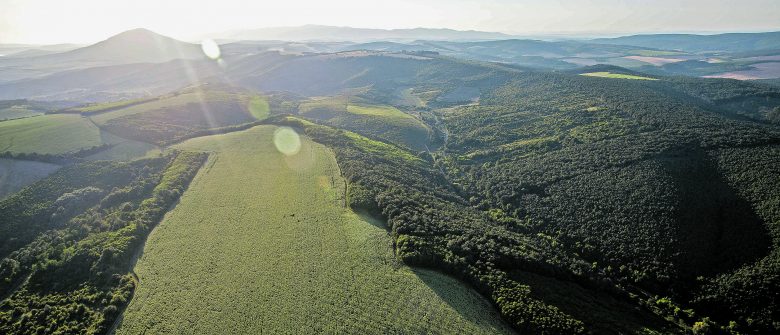Vitatja az erdészetekről szóló Kehi-jelentést az agrártárca 