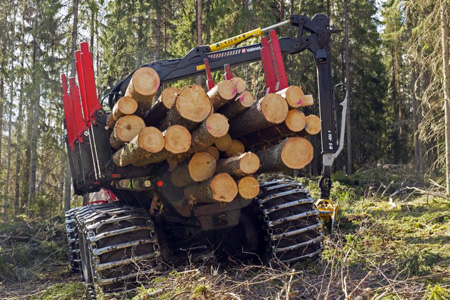 Digitális fakereskedelem a finn magánerdőkben