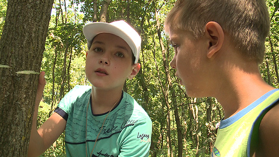 Kárpátaljai gyereknek szervezett tábort a Nyírerdő Zrt. - videó