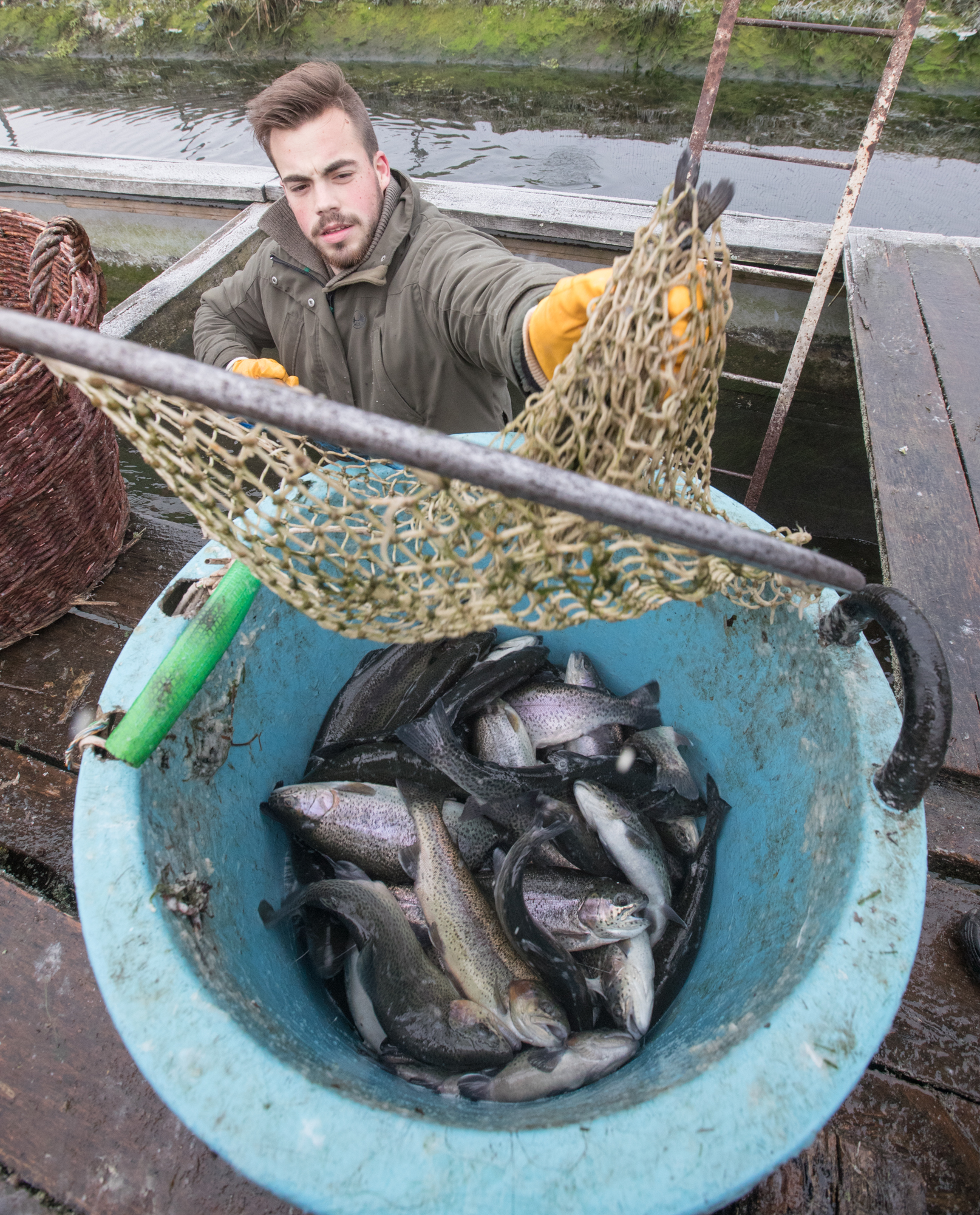Jó évet zárt a Bakonyerdő Zrt. devecseri erdészetének halgazdálkodása
