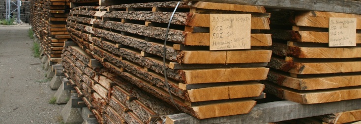 Határon átnyúló ellenőrzés indult a faanyag-kereskedelem területén az erdők védelme érdekében