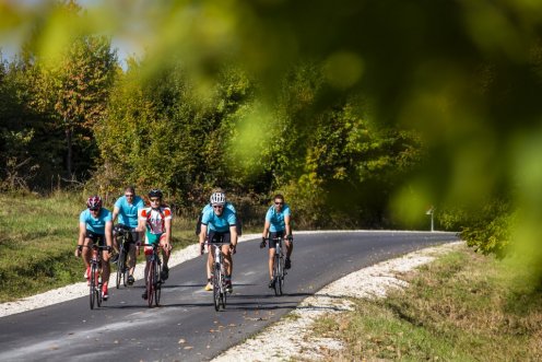 Egyre több erdészeti út nyílik meg a kerékpárosok előtt
