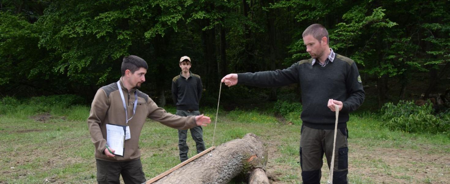 Letenyei siker született a zalai erdészek szakmai versenyén 