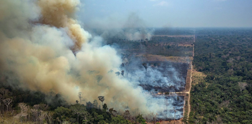 Több szén-dioxidot bocsátanak ki a fogyatkozó amazonasi erdők, mint amennyit elnyelnek