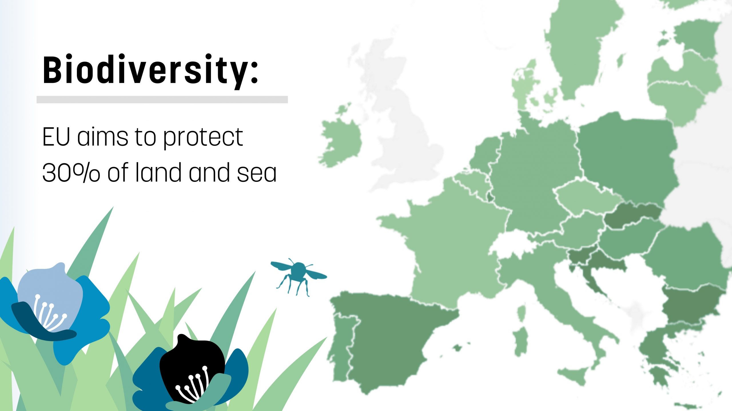 Az Európai Unió Biodiverzitás Stratégiájának erdészeti vonatkozásai - a NAK szakmai tájékoztatója