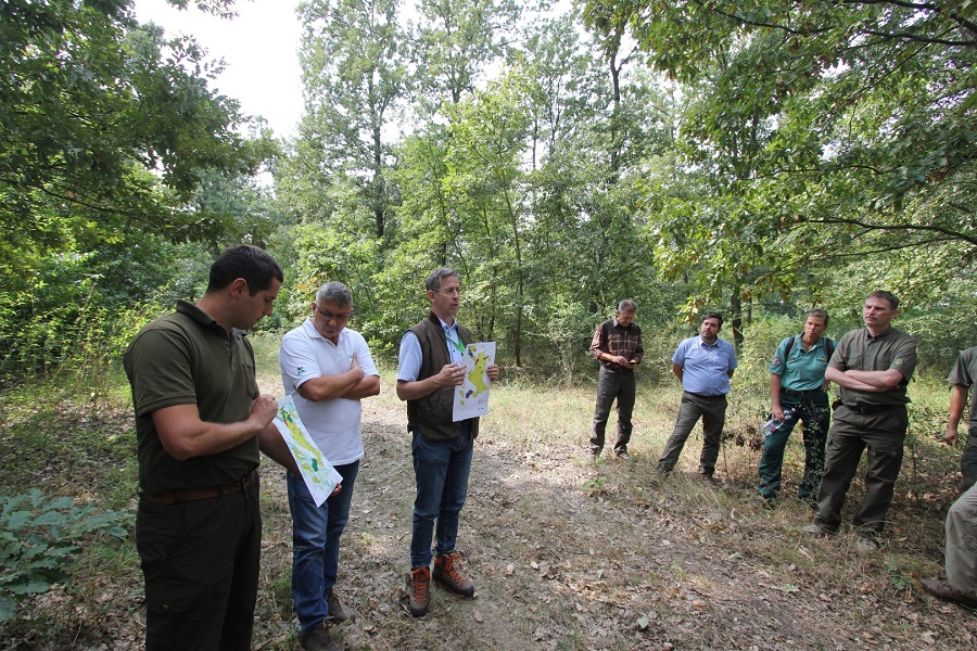 Természetvédelmi szakmai találkozóknak adott otthont a Pilisi Parkerdő
