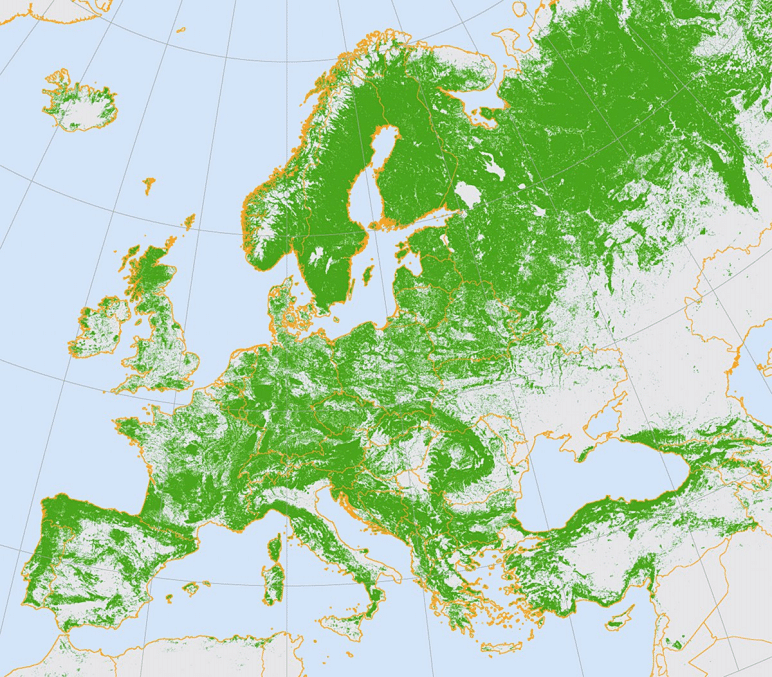 Elérhető az Európa erdeinek állapota 2020. évi Forest Europe jelentés