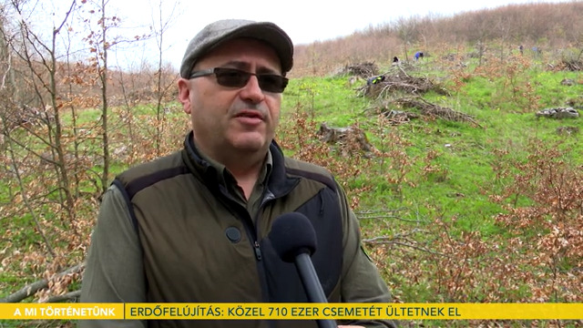 Tavaszi erdőfelújítási munkák az Egererdő Zrt. kezelési területén - videóriport!
