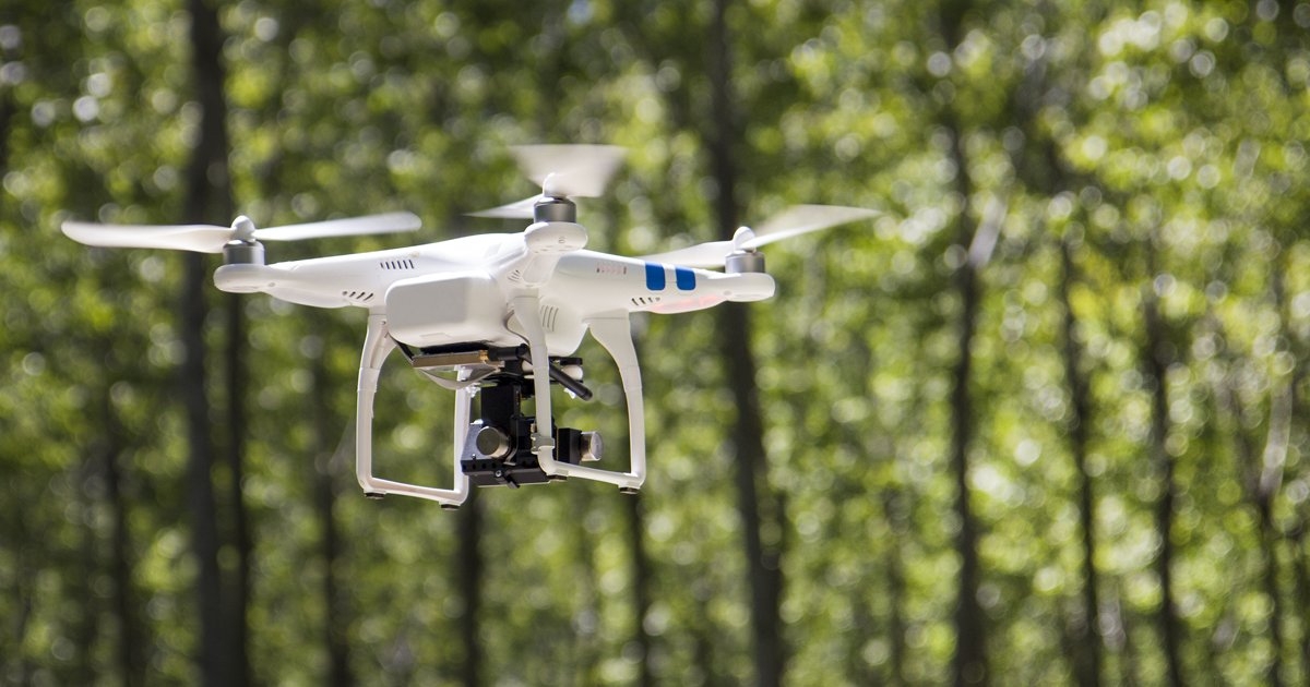 Csak típusminősített drónokat lehet majd használni az erdőgazdálkodásban is 
