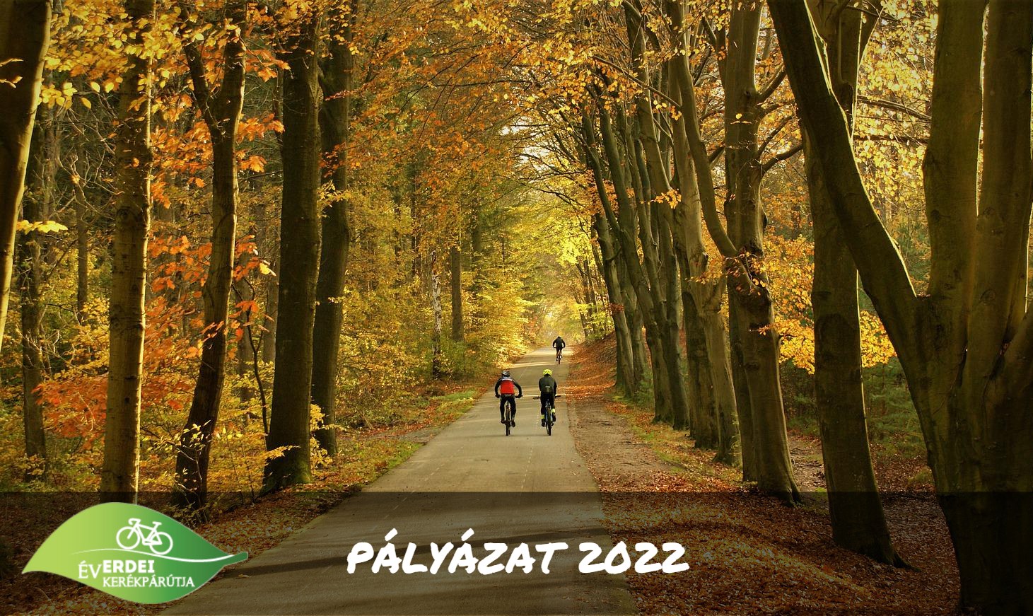 Melyik lesz a 2022. Év Erdei Kerékpárútja? Kezdődik a szavazás!