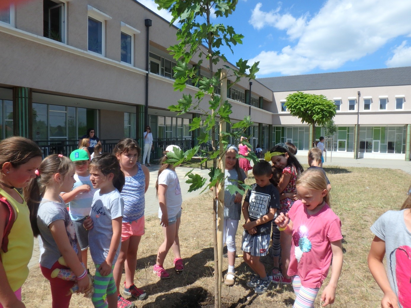 Iskolaszépítési program az ÉSZAKERDŐ Zrt-vel - közeleg az Erdők Hete