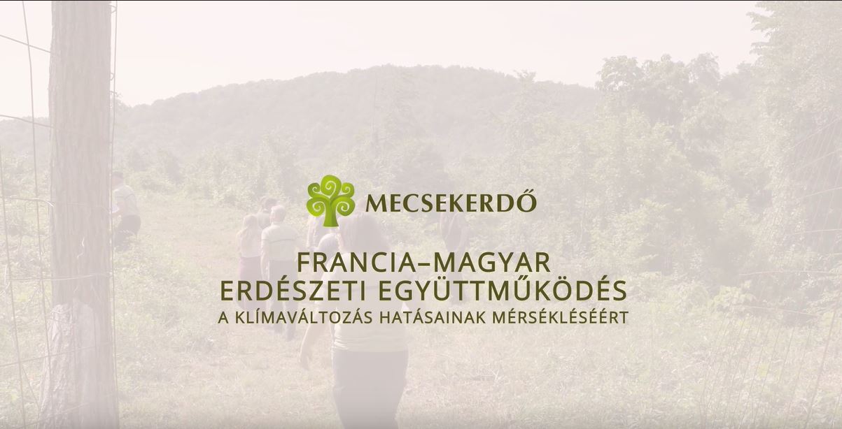 A francia Országos Erdészeti Hivatal szakértőinek magyarországi látogatása - összefoglaló videó!