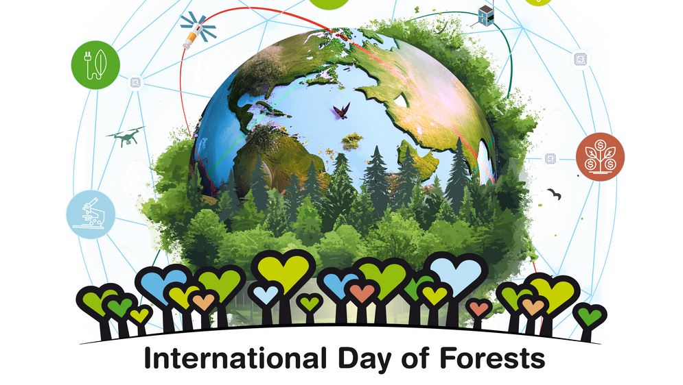 Erdők és innováció - konferenciát szervez az Agrárminisztérium az Erdők Nemzetközi Napja alkalmából 
