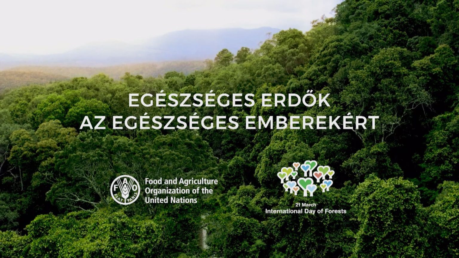 "Egészséges erdők az egészséges emberekért" - Erdők Nemzetközi Napja 2023 - a FAO kisfilm magyarul