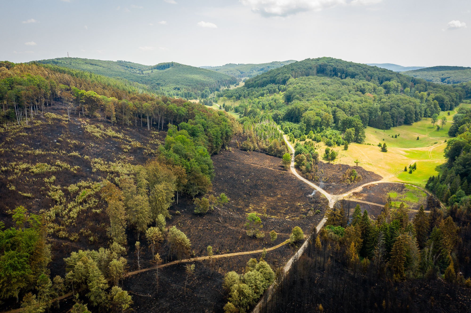 Erdőtűz a Bükkben: tart a kárfelmérés - az ÉSZAKERDŐ Zrt. közleménye