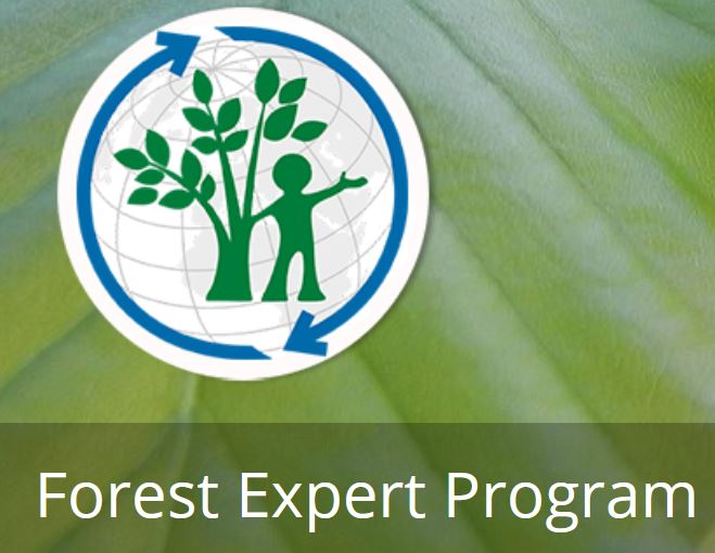 Pályázati lehetőség a Német Erdészeti Egyesület Forest Experts gyakorlati továbbképzési programjára 