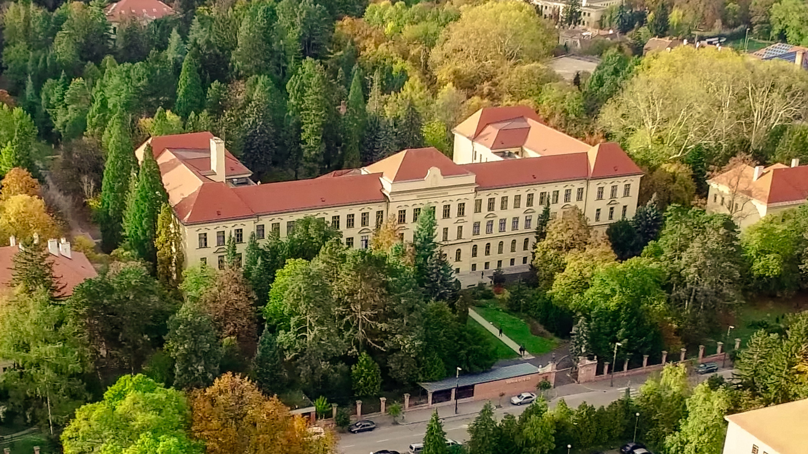 A magyarországi erdőgazdálkodás felelős és fenntartható - a Soproni Egyetem állásfoglalása