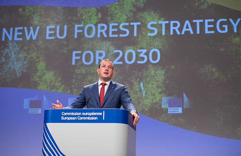 Az EU új erdészeti stratégiájának alapvető elemei
