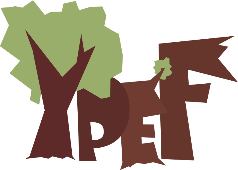 Fiatalok Az Európai Erdőkben – 2022 -Felhívás!